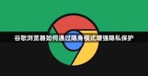 谷歌浏览器隐私模式使用攻略：安全浏览与隐私保护详解